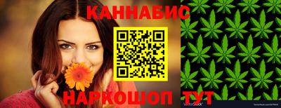 индика Можга
